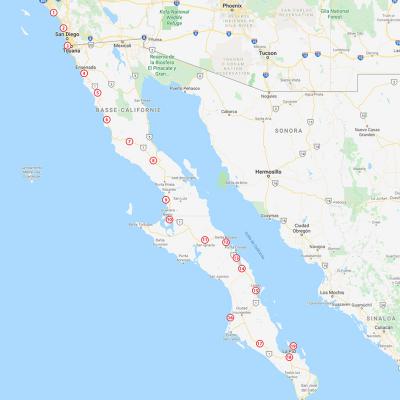 Premières semaines, la Basse Californie au Mexique