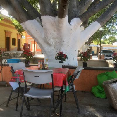 San Ignacio