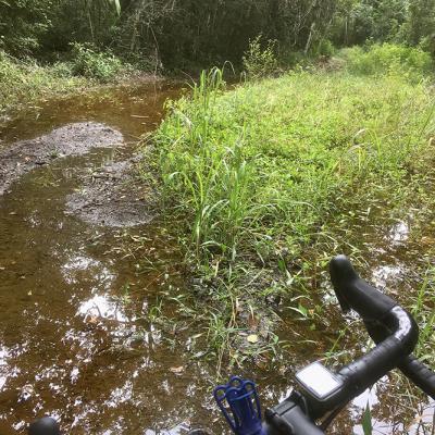 Un peu d'aventure dans la jungle pour rejoindre le site de Nakum