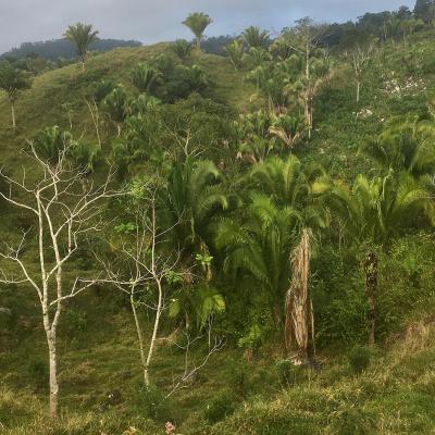 En direction de Río Dulce