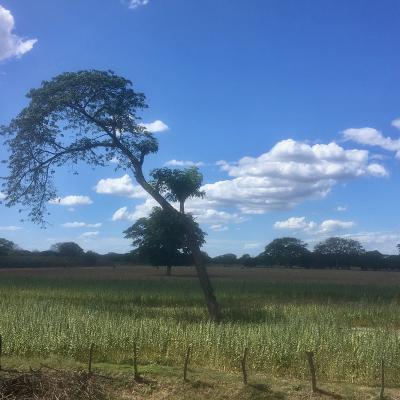 Entrée au Nicaragua, pays venté