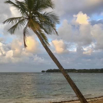Bocas del Drago
