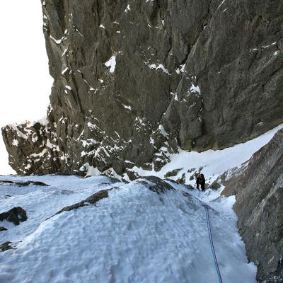 Fortune Carrée