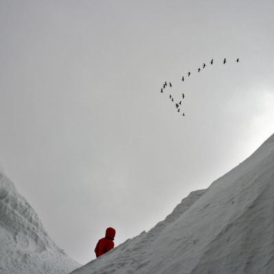 Jolie visite en haut du couloir Garroté