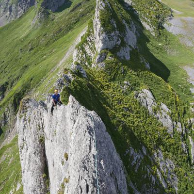 La Taillante au Pène Sarrière