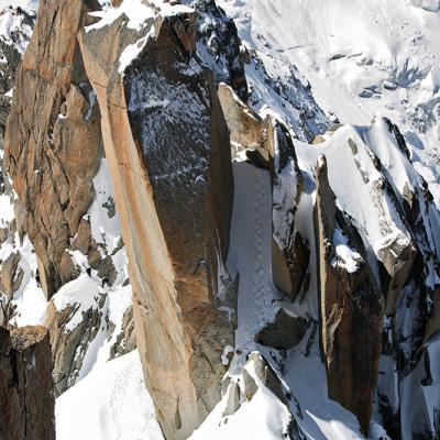 Cosmiques