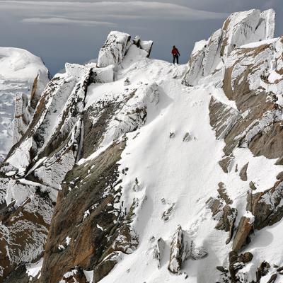Cosmiques