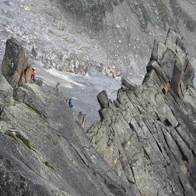 Peigne Arête des Papillons