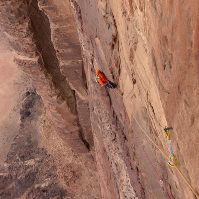 Les Enfants de Don Quichotte