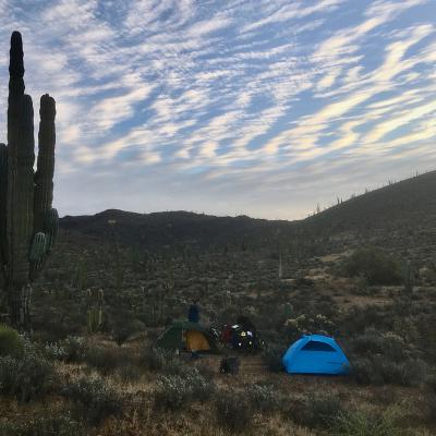 Bivouac en Basse Californie