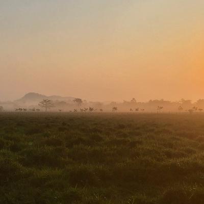 Premier matin au Guatemala