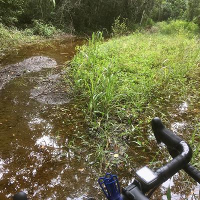 Dans la jungle au Guatemala