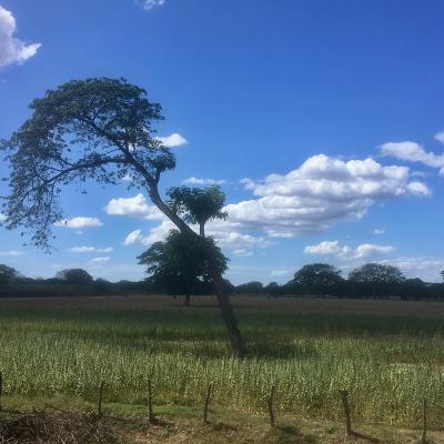 Arrivée au Nicaragua