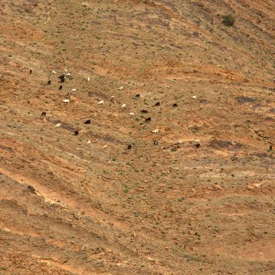 Région de Tafraoute