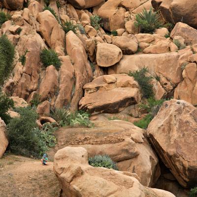 Région de Tafraoute