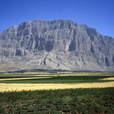 Les parois du Bisotun