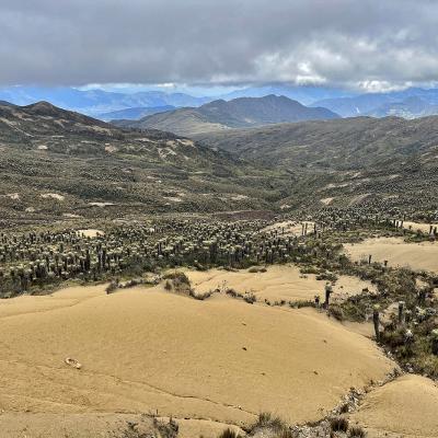 Paramo de l'Alto El Cocuy (4000 m)