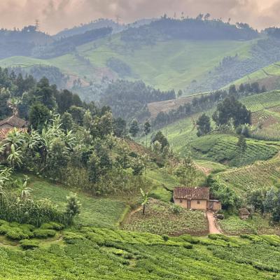 Rwanda