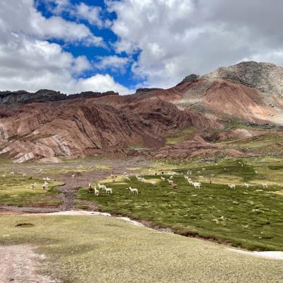 Entre Laraos et Betania