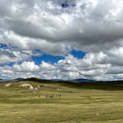 Plateau d'altitude après Querobamba