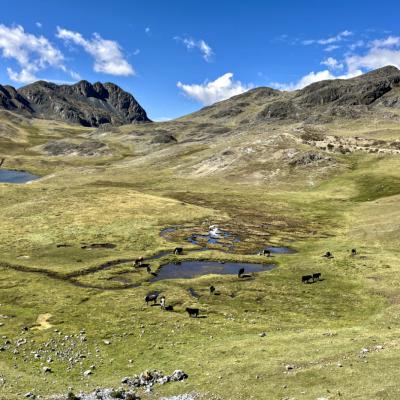 Enre Lambrana et Chuquibambilla
